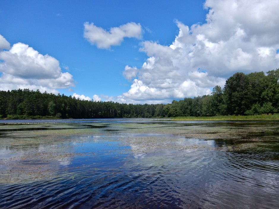 Whitson Lake 2